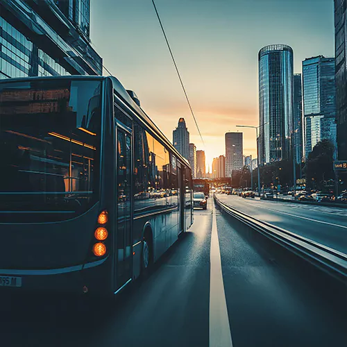 Options for Every Occasion